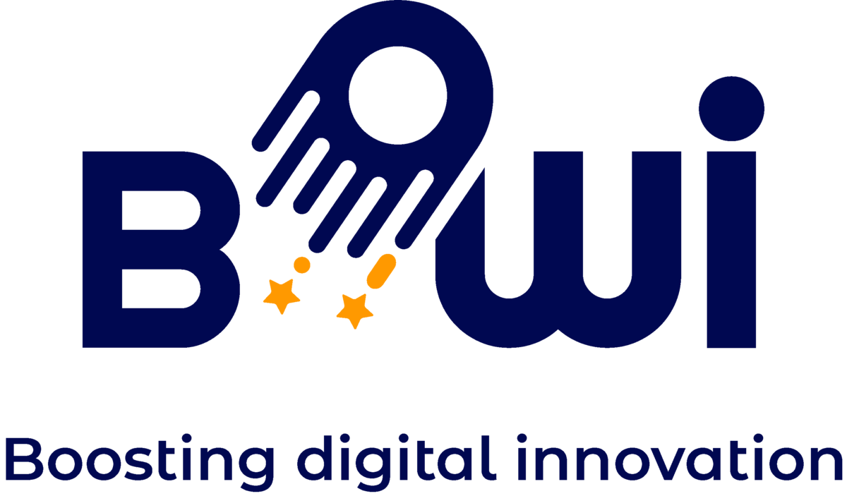BOWI Project logo