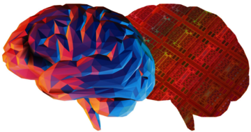 neurosys brain graphic